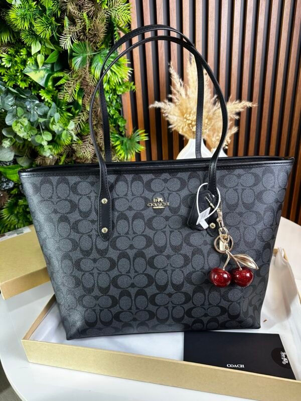 IMG_8657 Sac Coach Noir Noir
