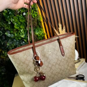 IMG_8687 Sac Coach Beige Caramel