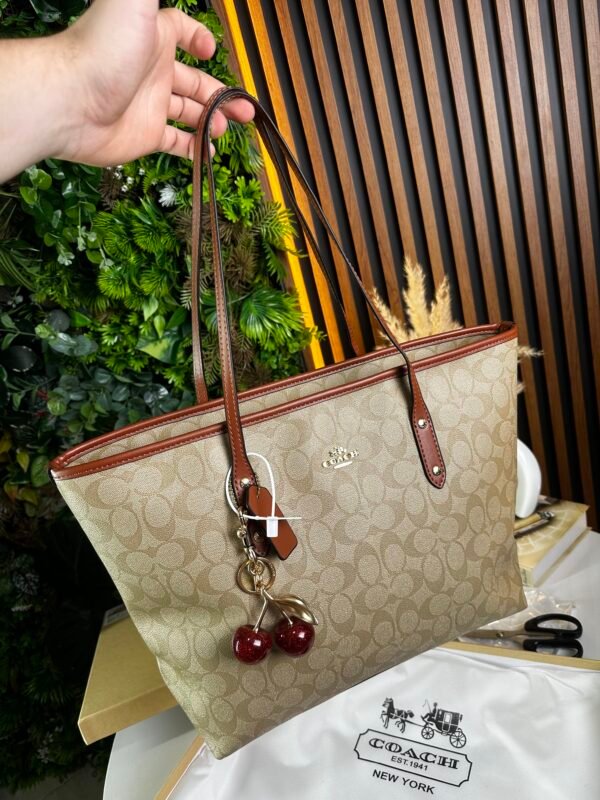 IMG_8687 Sac Coach Beige Caramel